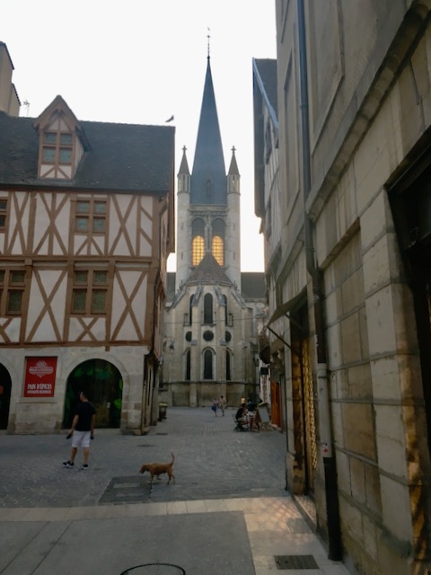 Dijon Square in France
Copyright © letsexplorehere.com
