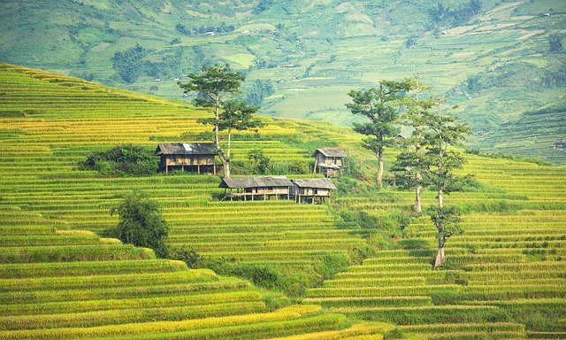Click the image to go the Cambodia page