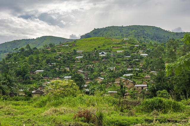 Village in the Democratic Republic of Congo
 