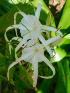 India Copyright © letsexplorehere.com