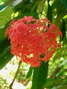 India Copyright © letsexplorehere.com