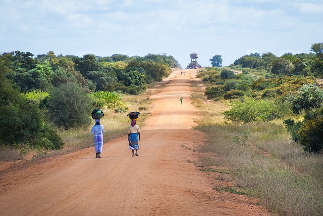 Driving through Mozambique