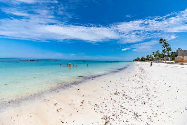 Beachside in Zanzibar, Tanzania