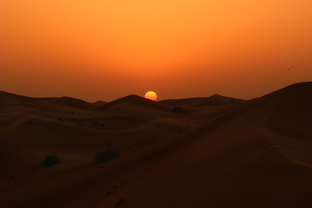 Click the image to go to the United Arab Emirates page