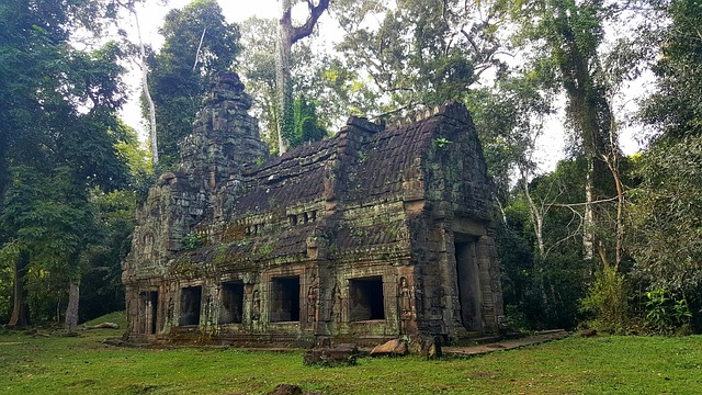 Relic in the jungle in Cambodia
