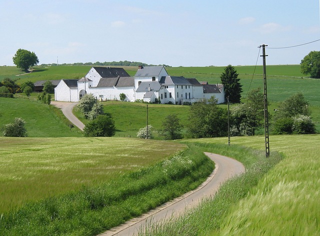 Rural Belgium