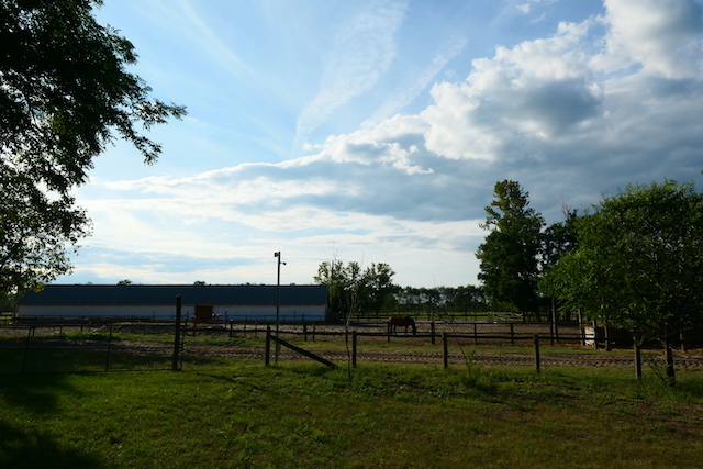 Stud farm in Hungary
Copyright © letsexplorehere.com