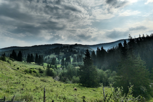 Countryside and Mountains in Romania
Copyright © letsexplorehere.com