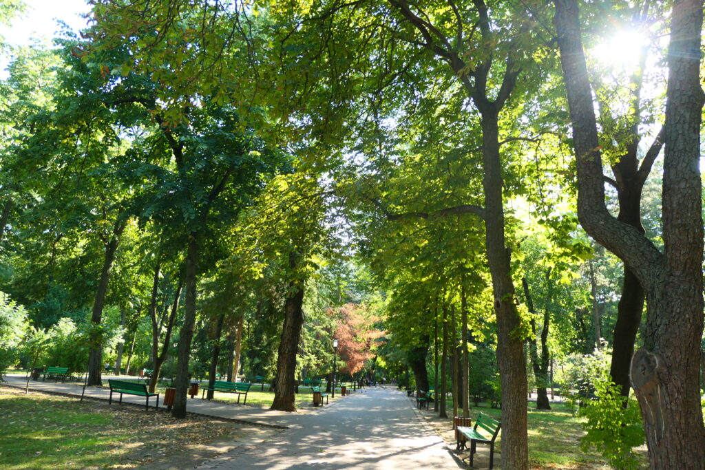 Chisinau park în Moldova
Copyright © letsexplorehere.com