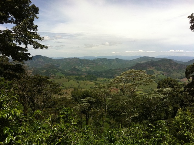 click the image to go to the Nicaragua page