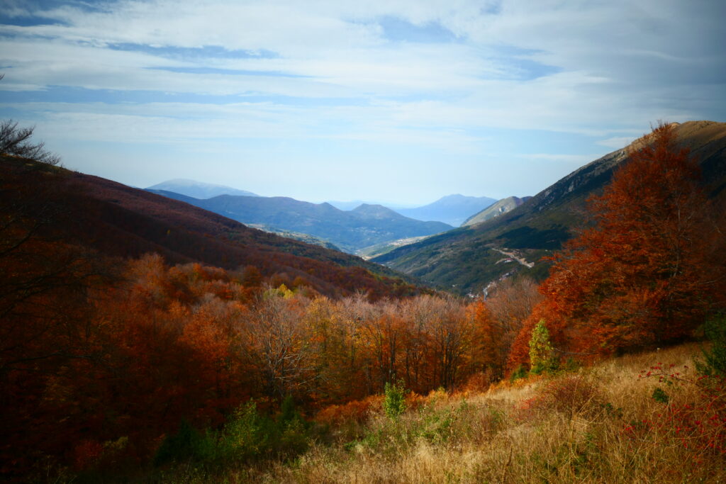 Gjakove, Kosovo
Copyright © letsexplorehere.com