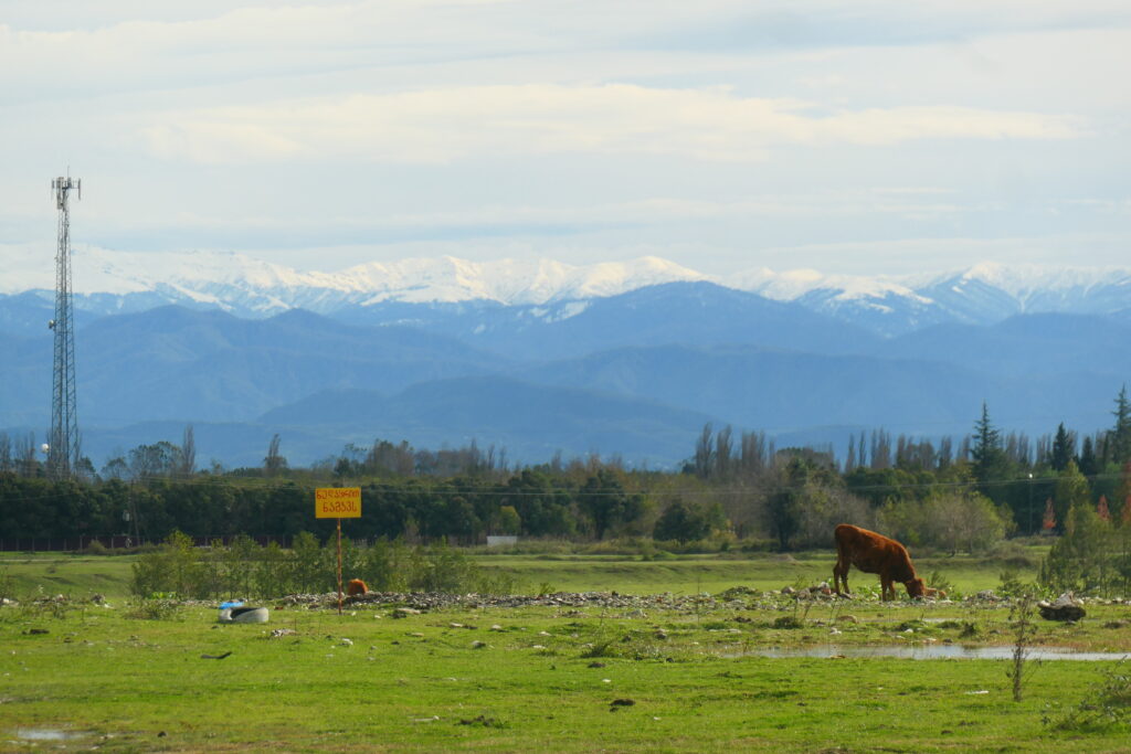 View towards the mountains from Khobi, Georgia
Copyright © letsexplorehere.com