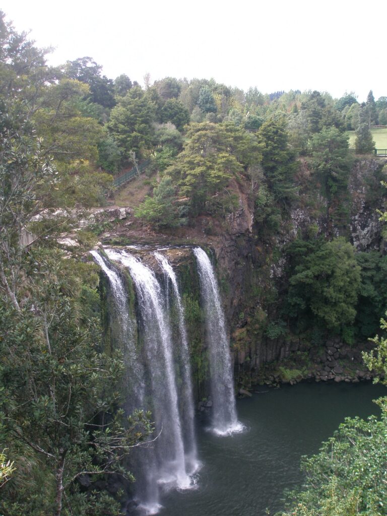 Overlooking Whangārei Falls, New Zealand
Copyright © letsexplorehere.com