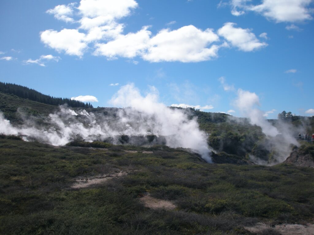 Rorotua, New Zealand
Copyright © letsexplorehere.com