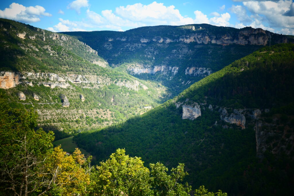 Lovely valleys, Tarn gorge, France
Copyright © letsexplorehere.com