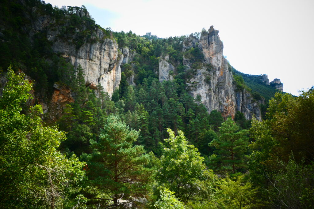 Beautiful cliffs, Tarn gorge, France
Copyright © letsexplorehere.com