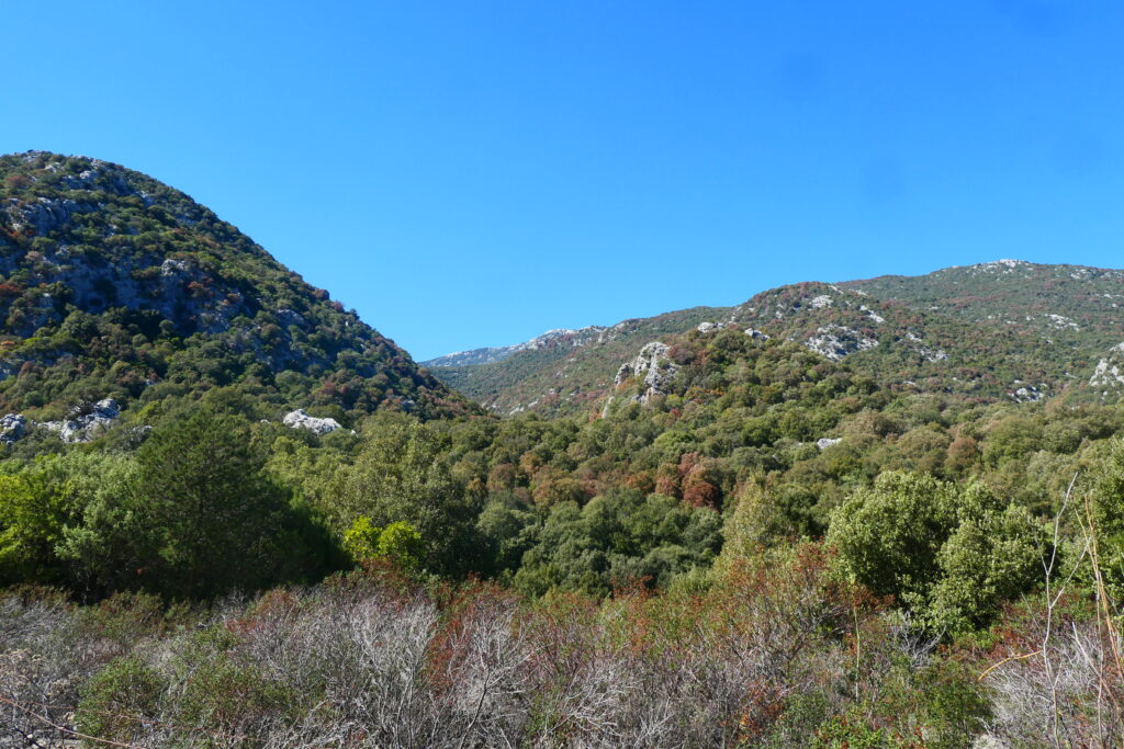 The countryside around Santu Juanni, Sardinia
Copyright © letsexplorehere.com