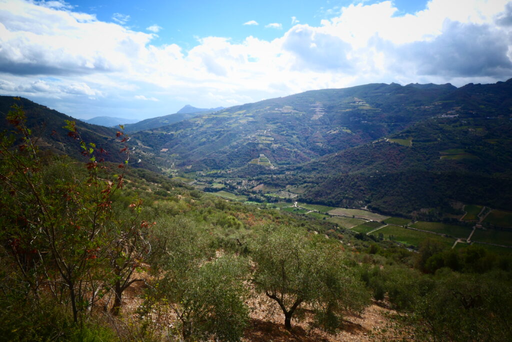 Beautiful farmland in Gairo Sant'Elena
Copyright © letsexplorehere.com