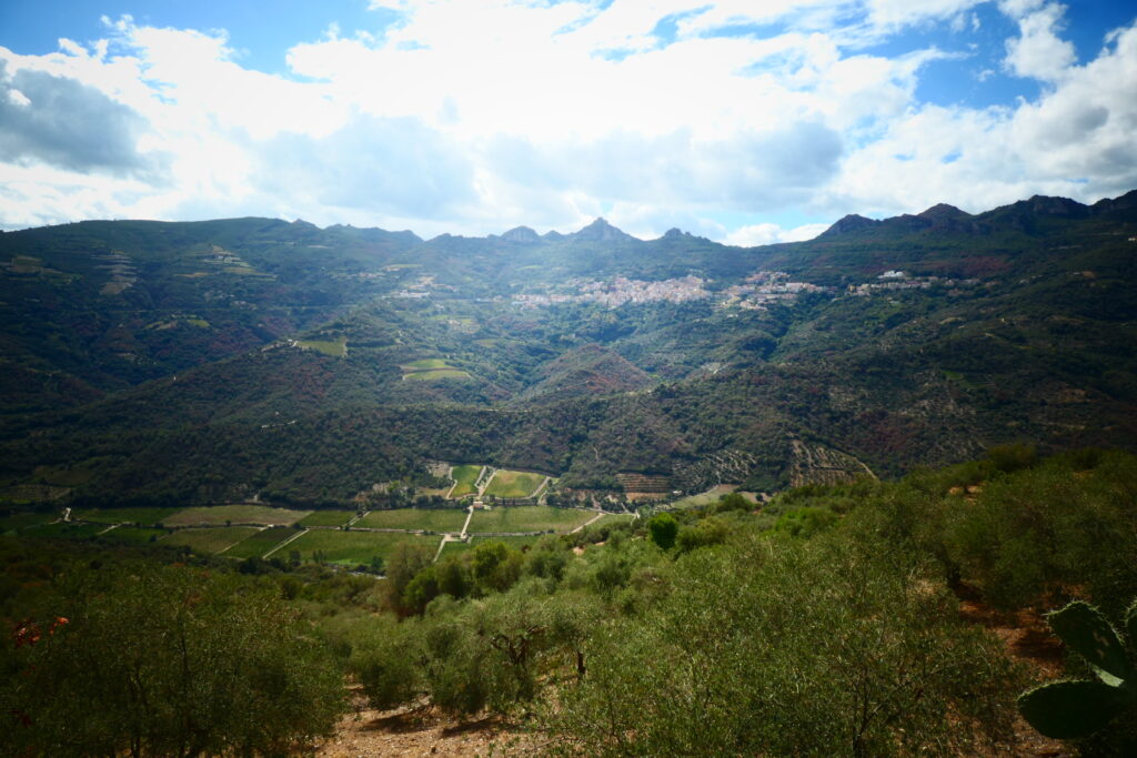 Endless sights around Gairo Sant'Elena
Copyright © letsexplorehere.com