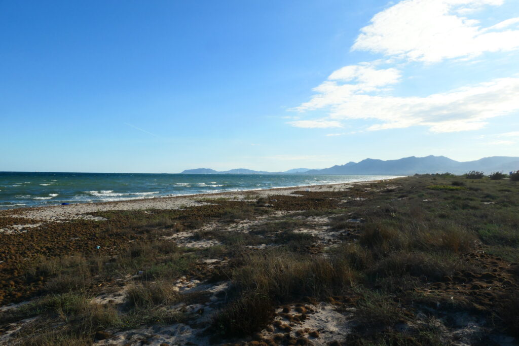 Just outside Cagliari, Sardinia
Copyright © letsexplorehere.com
