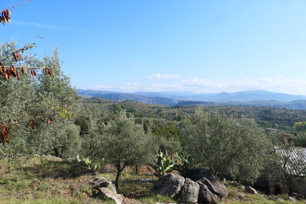 View towards Caccuri, Italy
Copyright © letsexplorehere.com