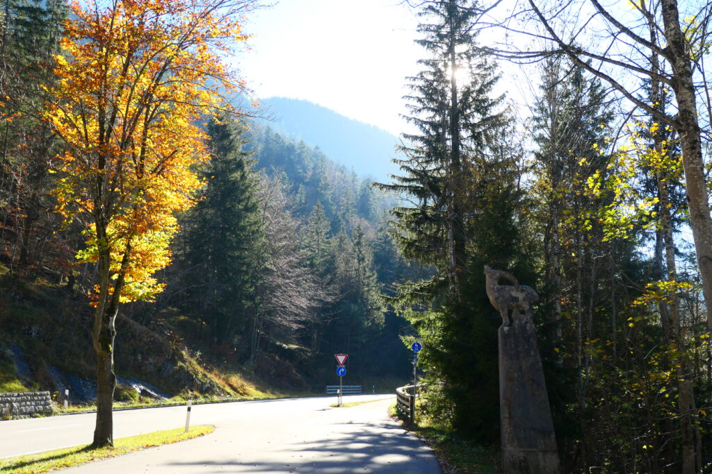 Close to the Sylvenstein reservoir, Germany
Copyright © letsexplorehere.com