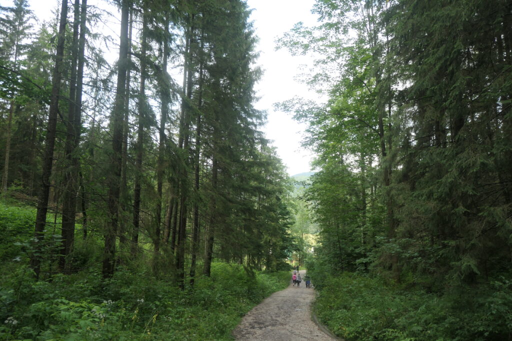 There are many hiking trails around Dobšiná, Slovakia
Copyright © letsexplorehere.com