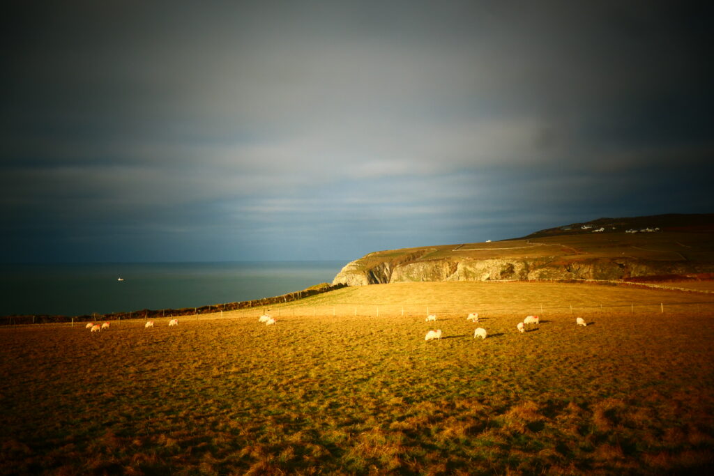 Beautiful Holy Island, Wales
Copyright © letsexplorehere.com