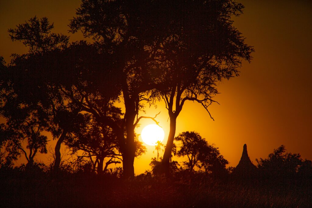 Sunset in Moremi, Botswana