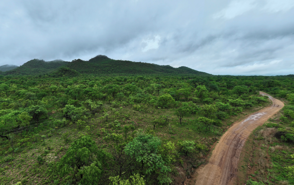 Tonazino, Mozambique