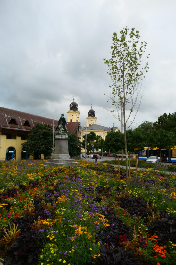 More beautiful flowers, Debrecen, Hungary
Copyright © letsexplorehere.com