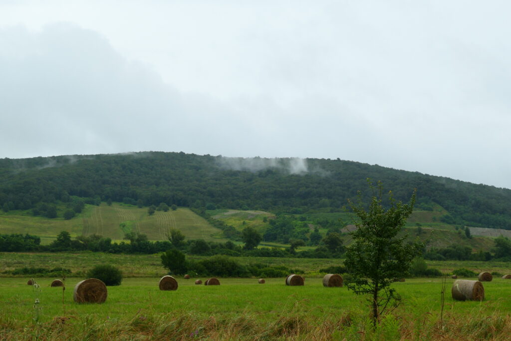Rural Felsőnyárád, Hungary
Copyright © letsexplorehere.com