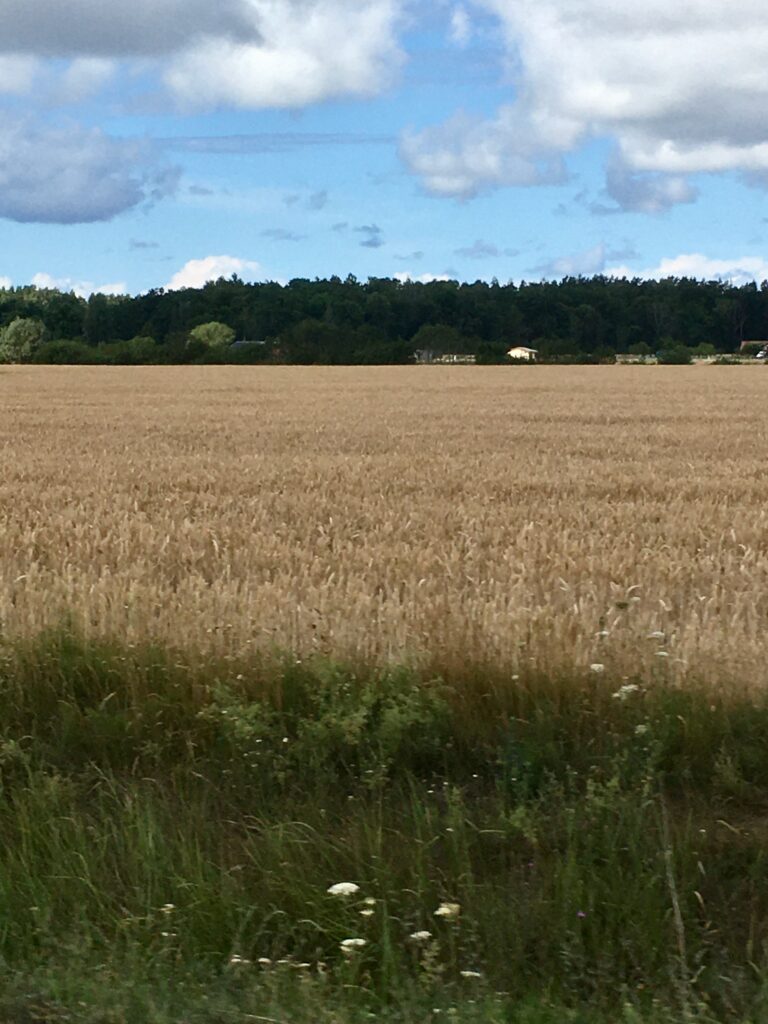 The countryside around Salacgrīva, Latvia
Copyright © letsexplorehere.com