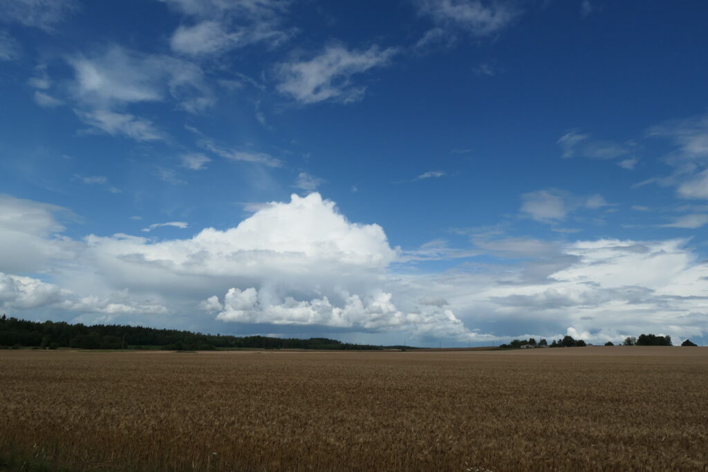 Rural Kabile, Latvia
Copyright © letsexplorehere.com