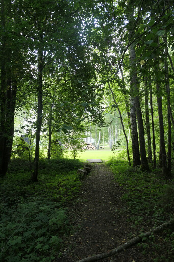 A woodland walk at Lake Usma, Latvia
Copyright © letsexplorehere.com
