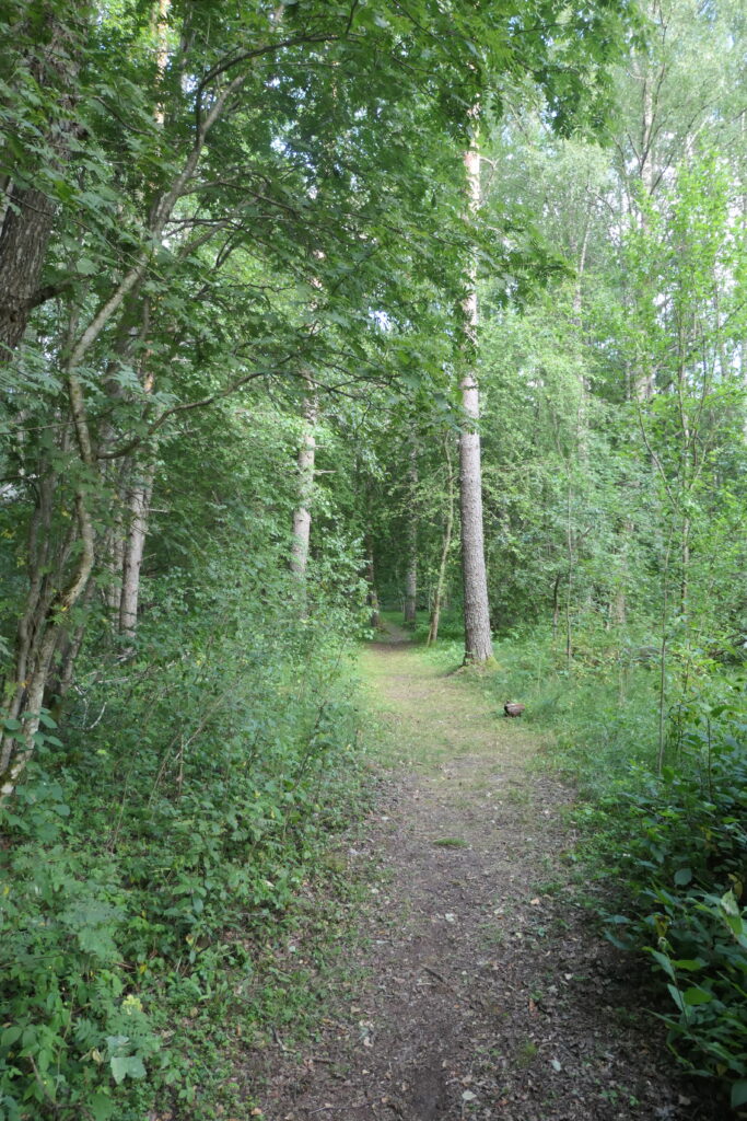 A woodland walk at Lake Usma, Latvia
Copyright © letsexplorehere.com