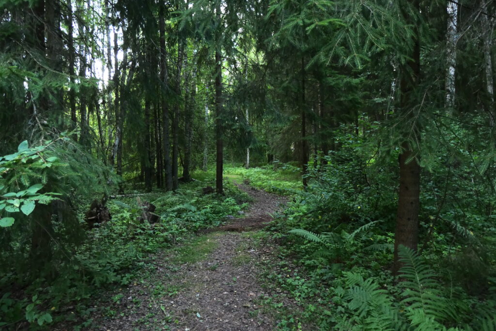 A woodland walk at Lake Usma, Latvia
Copyright © letsexplorehere.com