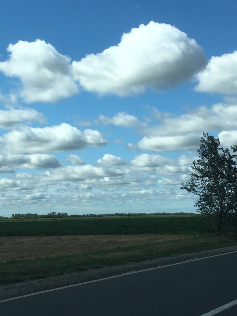 Agricultural fields in Tsz Lakótelep, Hungary
Copyright © letsexplorehere.com