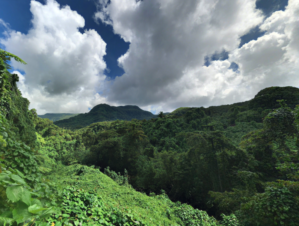 Pohnpei, Micronesia
Copyright © letsexplorehere.com